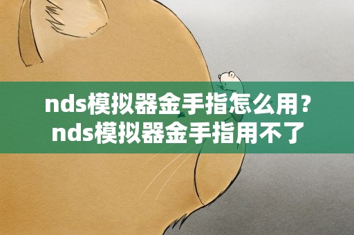nds模拟器金手指怎么用？nds模拟器金手指用不了