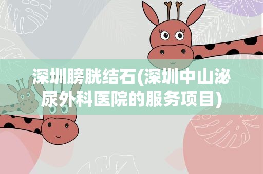 深圳膀胱结石(深圳中山泌尿外科医院的服务项目)