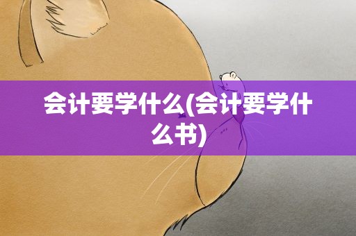 会计要学什么(会计要学什么书)