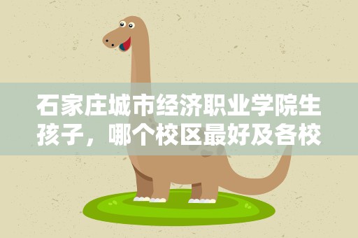 石家庄城市经济职业学院生孩子，哪个校区最好及各校区介绍