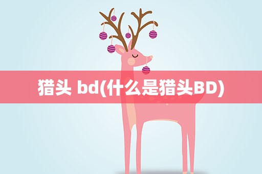 猎头 bd(什么是猎头BD)