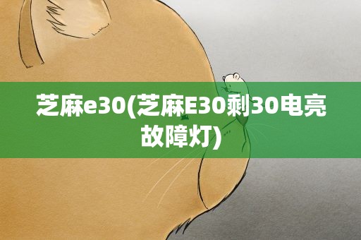 芝麻e30(芝麻E30剩30电亮故障灯)
