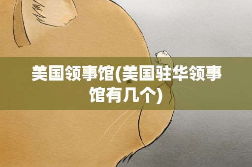 美国领事馆(美国驻华领事馆有几个)