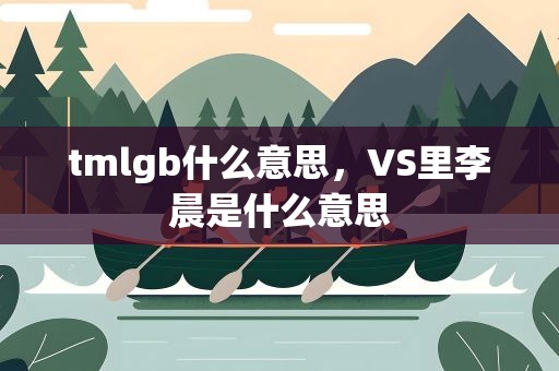 tmlgb什么意思，VS里李晨是什么意思