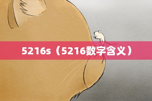 5216s（5216数字含义）