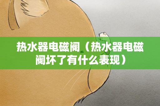 热水器电磁阀（热水器电磁阀坏了有什么表现）