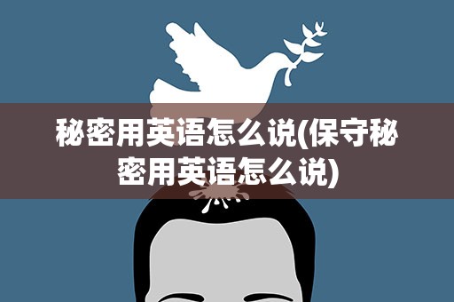 秘密用英语怎么说(保守秘密用英语怎么说)