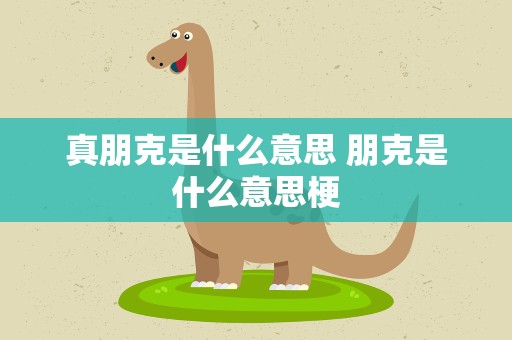 真朋克是什么意思 朋克是什么意思梗