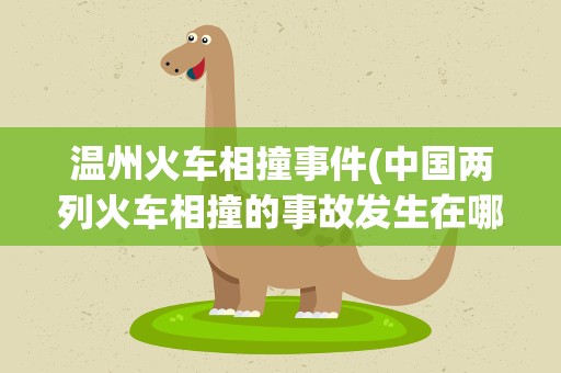 温州火车相撞事件(中国两列火车相撞的事故发生在哪一年)