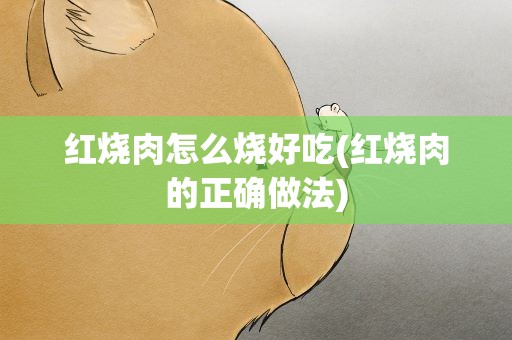 红烧肉怎么烧好吃(红烧肉的正确做法)