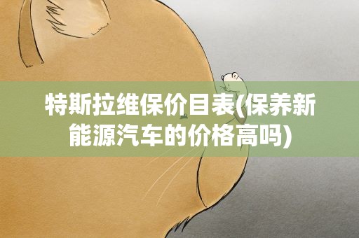 特斯拉维保价目表(保养新能源汽车的价格高吗)