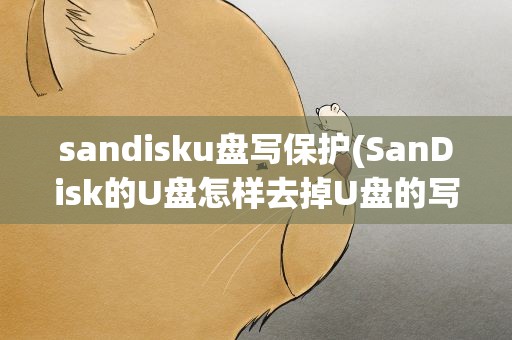 sandisku盘写保护(SanDisk的U盘怎样去掉U盘的写保护)