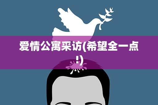 爱情公寓采访(希望全一点!)