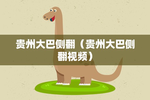 贵州大巴侧翻（贵州大巴侧翻视频）