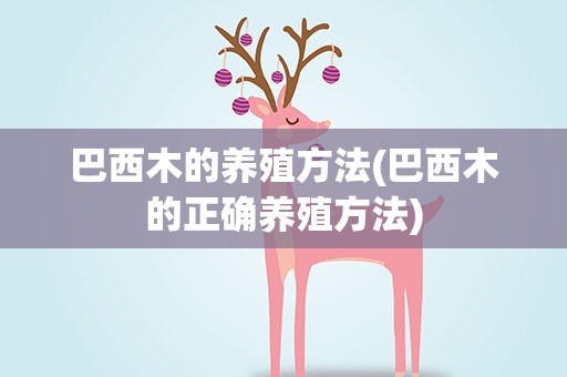 巴西木的养殖方法(巴西木的正确养殖方法)