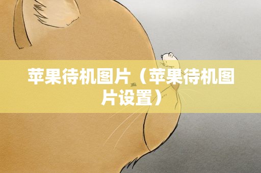 苹果待机图片（苹果待机图片设置）