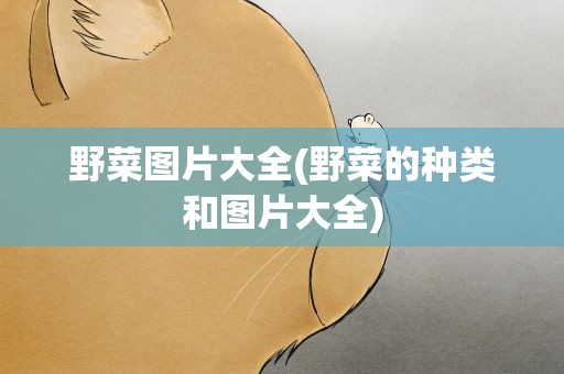 野菜图片大全(野菜的种类和图片大全)