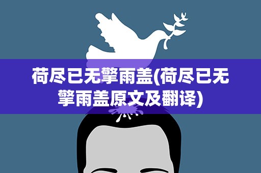 荷尽已无擎雨盖(荷尽已无擎雨盖原文及翻译)