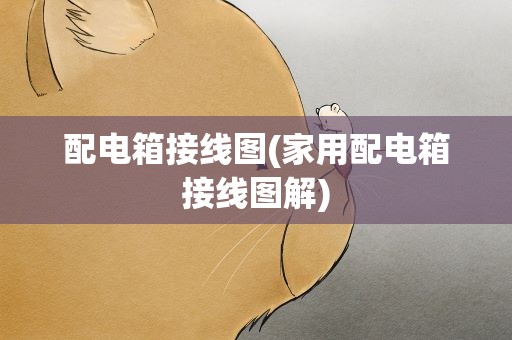 配电箱接线图(家用配电箱接线图解)