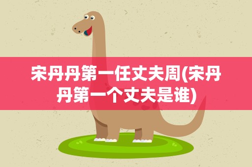 宋丹丹第一任丈夫周(宋丹丹第一个丈夫是谁)