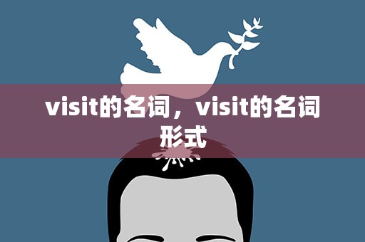 visit的名词，visit的名词形式