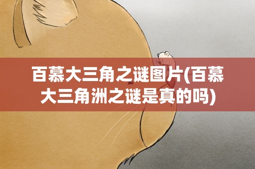百慕大三角之谜图片(百慕大三角洲之谜是真的吗)