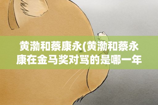 黄渤和蔡康永(黄渤和蔡永康在金马奖对骂的是哪一年啊)