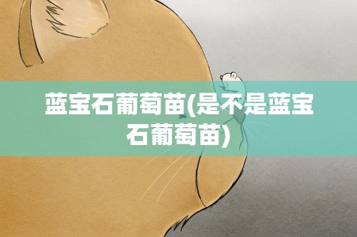 蓝宝石葡萄苗(是不是蓝宝石葡萄苗)