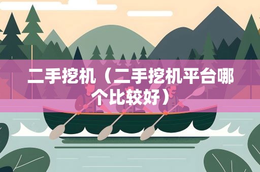 二手挖机（二手挖机平台哪个比较好）