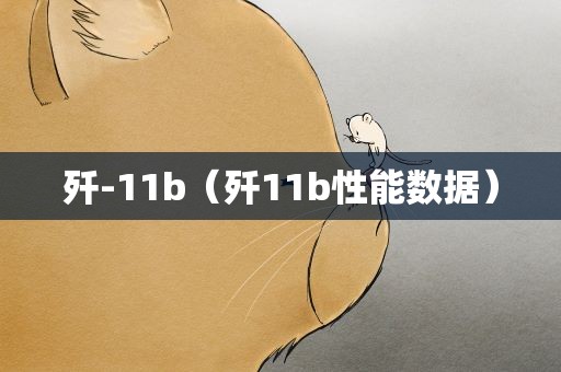 歼-11b（歼11b性能数据）