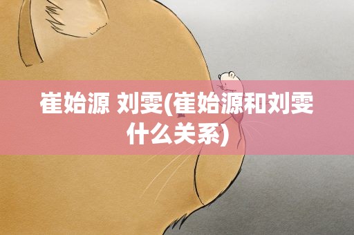 崔始源 刘雯(崔始源和刘雯什么关系)