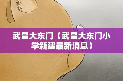 武昌大东门（武昌大东门小学新建最新消息）