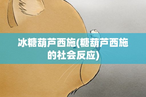冰糖葫芦西施(糖葫芦西施的社会反应)