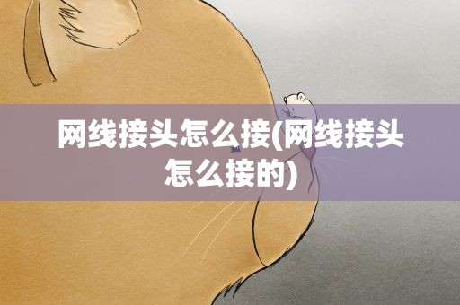 网线接头怎么接(网线接头怎么接的)