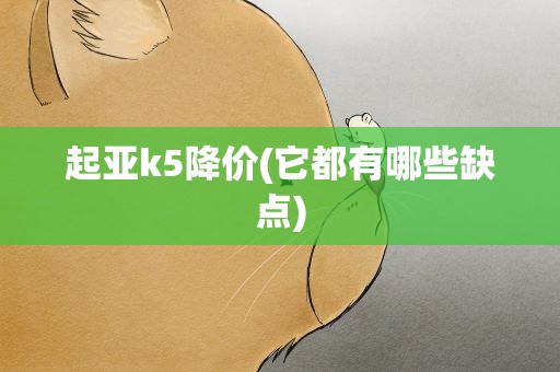 起亚k5降价(它都有哪些缺点)