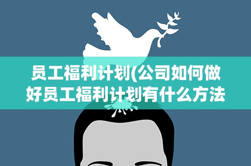 员工福利计划(公司如何做好员工福利计划有什么方法)