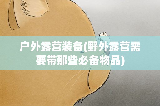 户外露营装备(野外露营需要带那些必备物品)