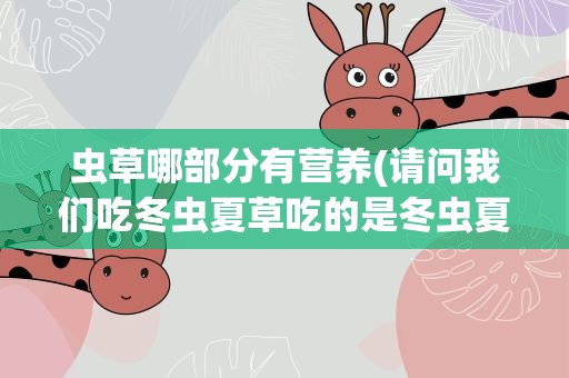 虫草哪部分有营养(请问我们吃冬虫夏草吃的是冬虫夏草的什么部分)