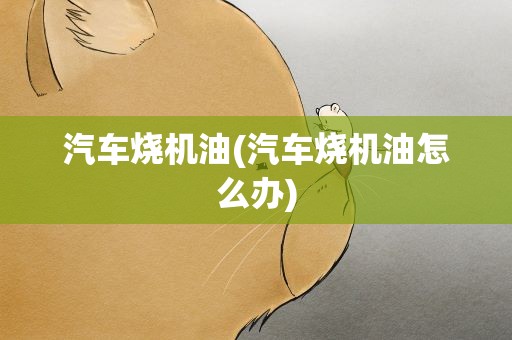 汽车烧机油(汽车烧机油怎么办)