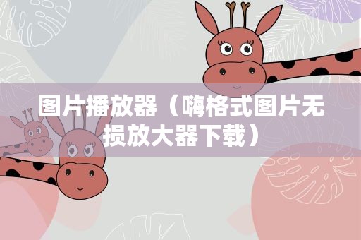 图片播放器（嗨格式图片无损放大器下载）