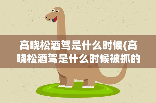 高晓松酒驾是什么时候(高晓松酒驾是什么时候被抓的)