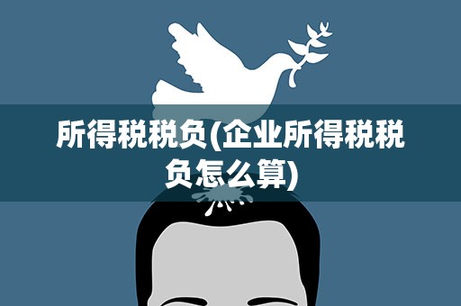 所得税税负(企业所得税税负怎么算)
