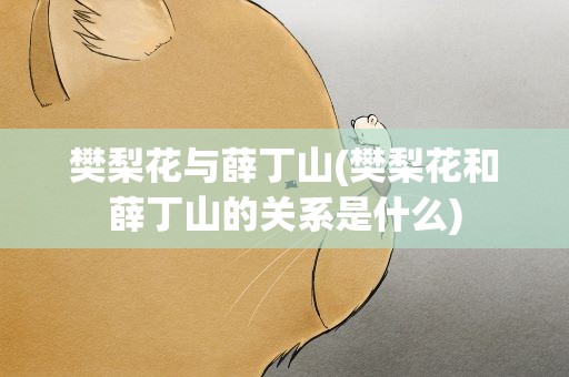 樊梨花与薛丁山(樊梨花和薛丁山的关系是什么)