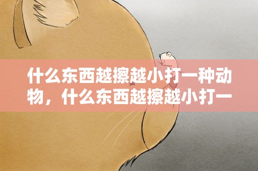 什么东西越擦越小打一种动物，什么东西越擦越小打一动物马
