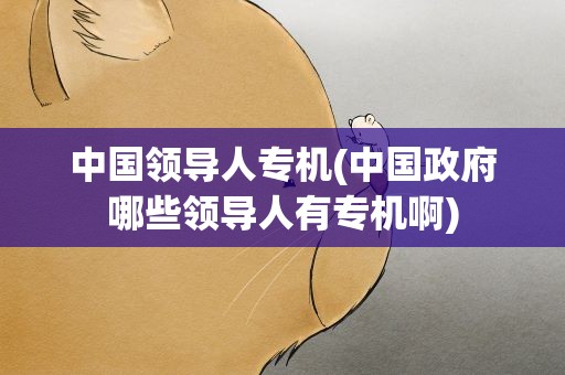 中国领导人专机(中国政府哪些领导人有专机啊)