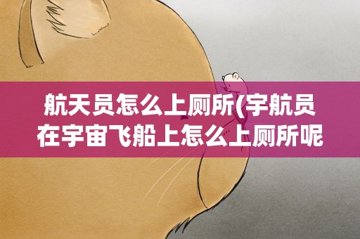 航天员怎么上厕所(宇航员在宇宙飞船上怎么上厕所呢)