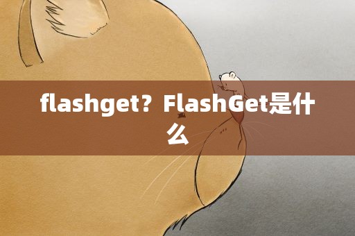 flashget？FlashGet是什么