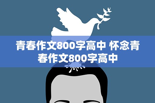 青春作文800字高中 怀念青春作文800字高中
