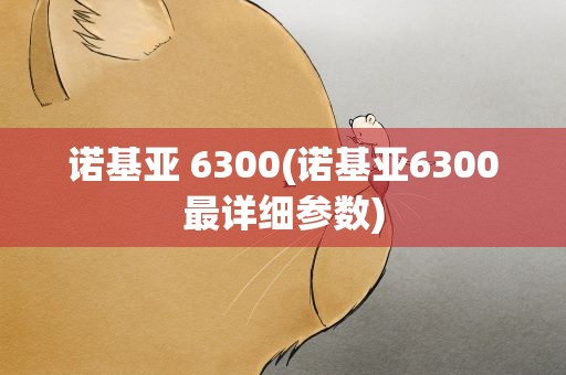 诺基亚 6300(诺基亚6300最详细参数)