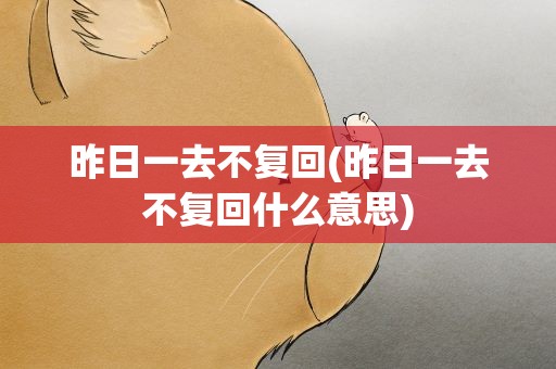 昨日一去不复回(昨日一去不复回什么意思)